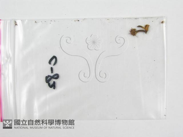 登錄號:F0001732藏品圖，第1張