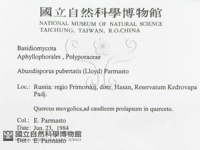 登錄號:F0015732藏品圖，第3張