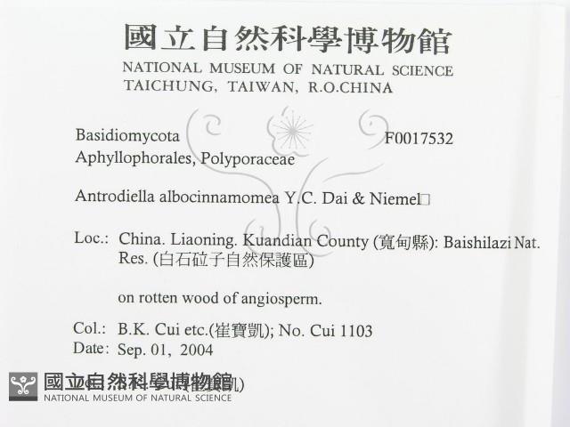 登錄號:F0017532藏品圖，第3張