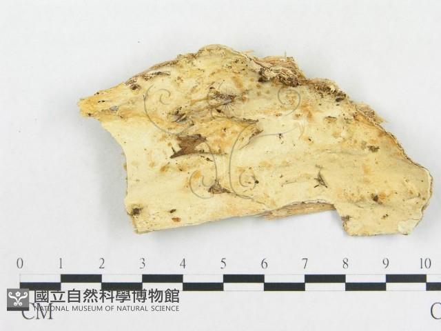 登錄號:F0008132藏品圖，第1張