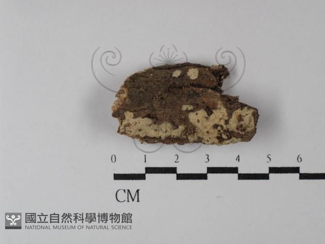 登錄號:F0003132藏品圖，第1張