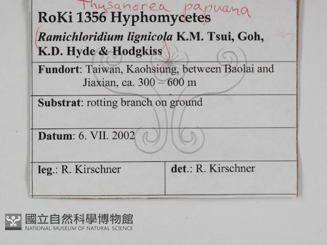 登錄號:F0031032藏品圖，第3張