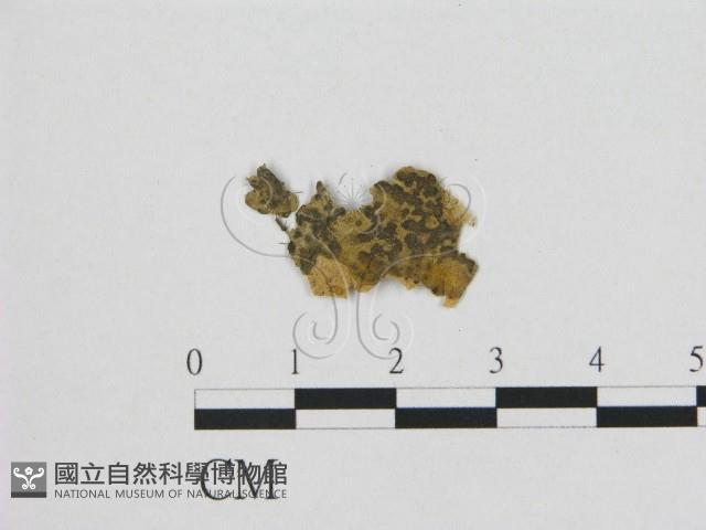 登錄號:F0003032藏品圖，第1張