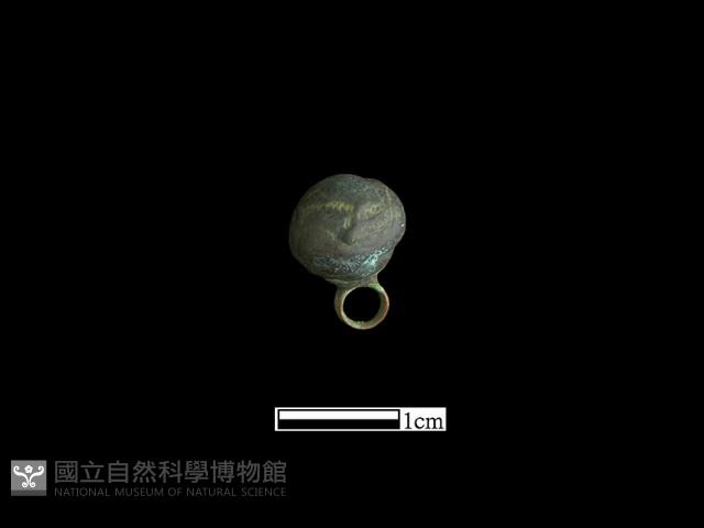 鈕子藏品圖，第3張