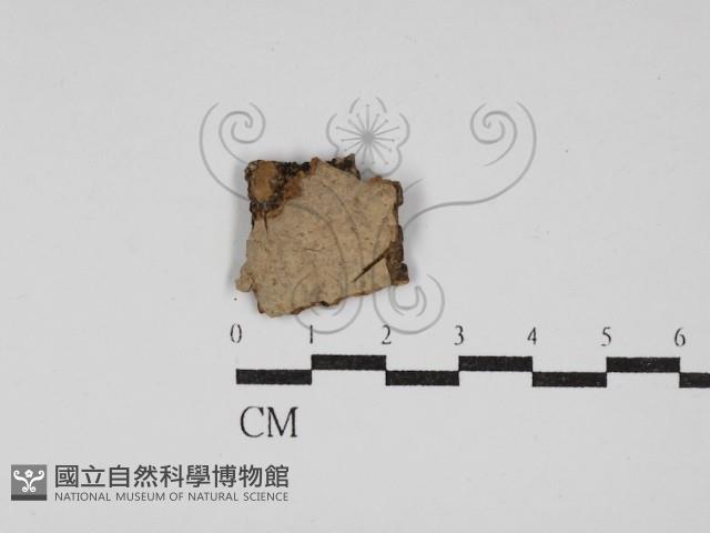 登錄號:F0008332藏品圖，第1張