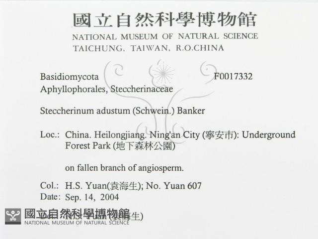 登錄號:F0017332藏品圖，第3張