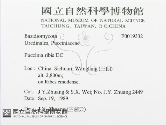 登錄號:F0019332藏品圖，第3張