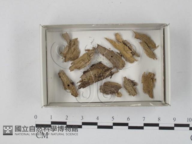 登錄號:F0018272藏品圖，第1張