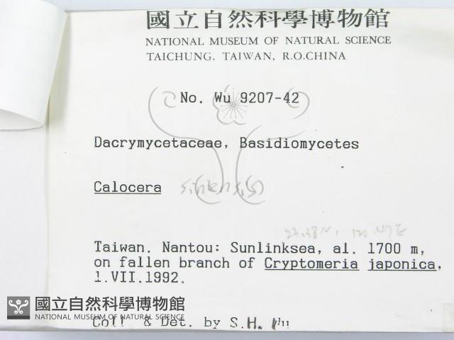 登錄號:F0000272藏品圖，第3張