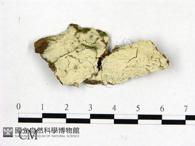 登錄號:F0015272藏品圖，第1張