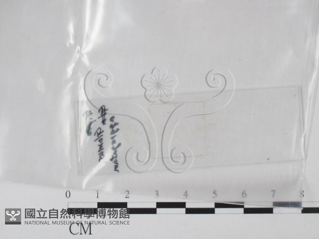 登錄號:F0016872藏品圖，第1張