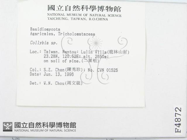 登錄號:F0004872藏品圖，第3張