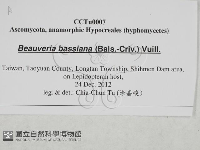 登錄號:F0027872藏品圖，第3張