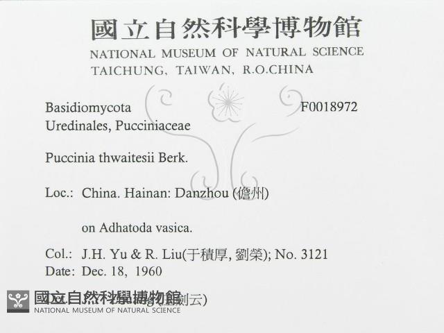 登錄號:F0018972藏品圖，第3張