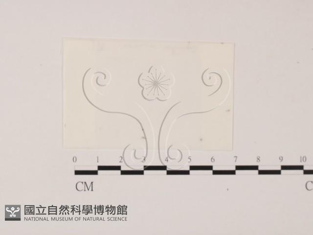 登錄號:F0000672藏品圖，第1張