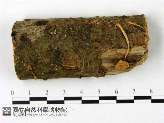 登錄號:F0010672藏品圖，第1張