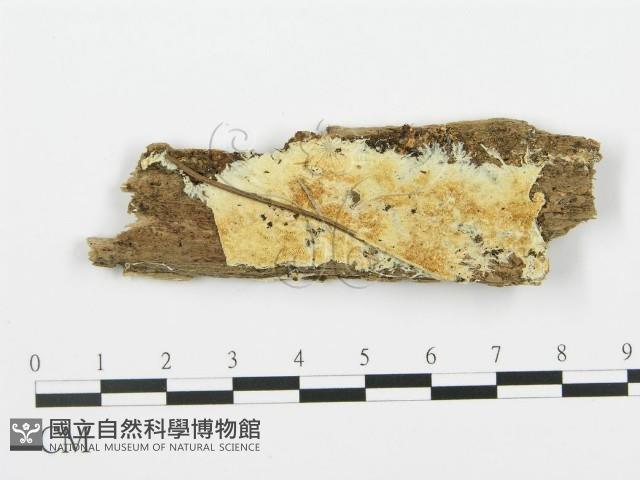 登錄號:F0006672藏品圖，第1張