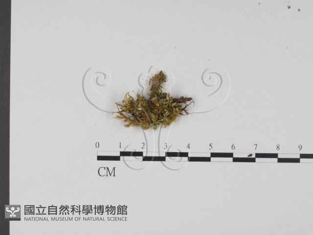 登錄號:F0007672藏品圖，第1張