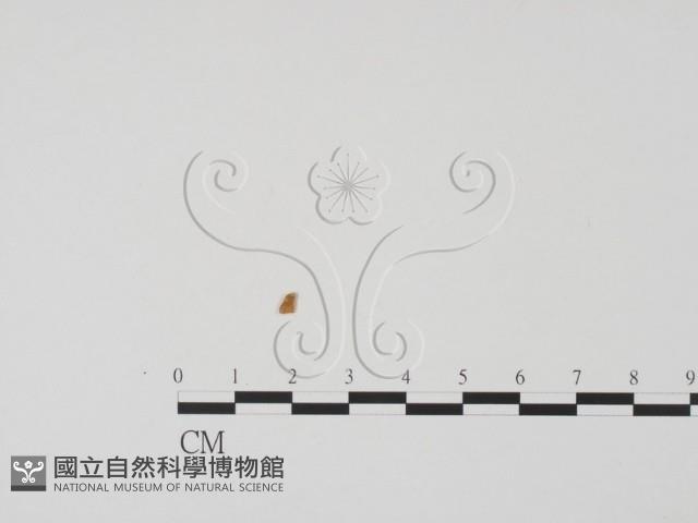 登錄號:F0019672藏品圖，第1張