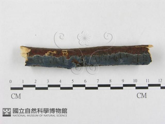 登錄號:F0001472藏品圖，第1張