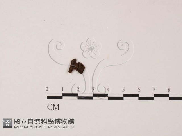登錄號:F0020772藏品圖，第1張