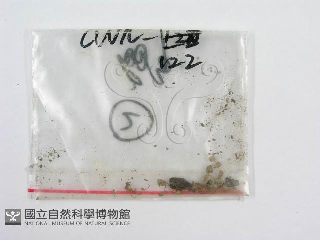 粉褶菌屬藏品圖，第1張