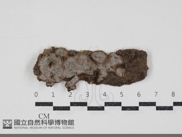 登錄號:F0034772藏品圖，第1張