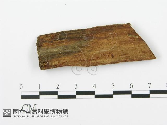 登錄號:F0017772藏品圖，第1張