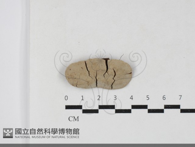 登錄號:F0033772藏品圖，第1張