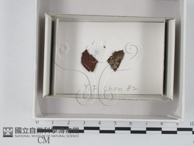 登錄號:F0020572藏品圖，第1張