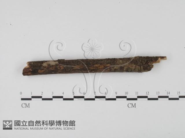 登錄號:F0000572藏品圖，第1張