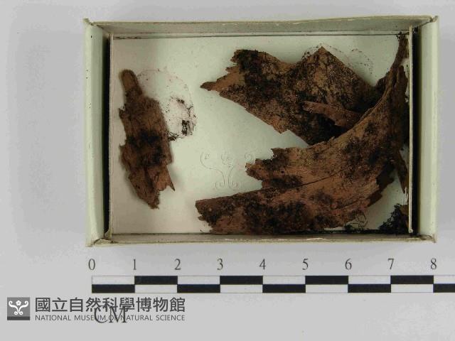 登錄號:F0021572藏品圖，第1張