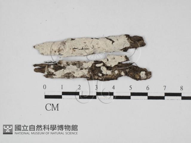 登錄號:F0027572藏品圖，第1張