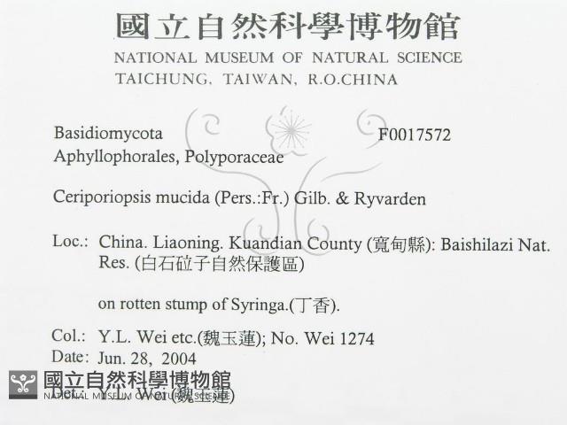 登錄號:F0017572藏品圖，第3張