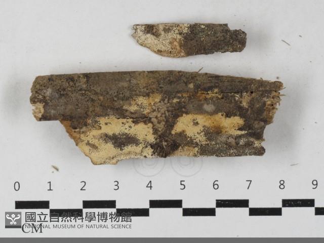 登錄號:F0033572藏品圖，第1張