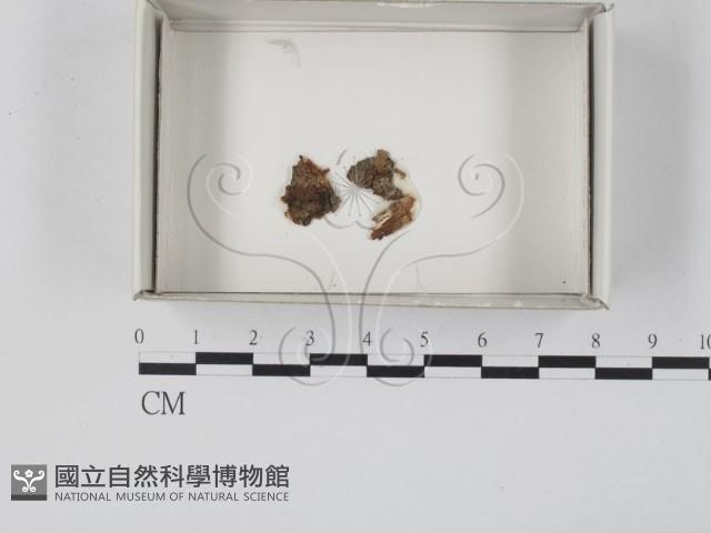登錄號:F0018172藏品圖，第1張