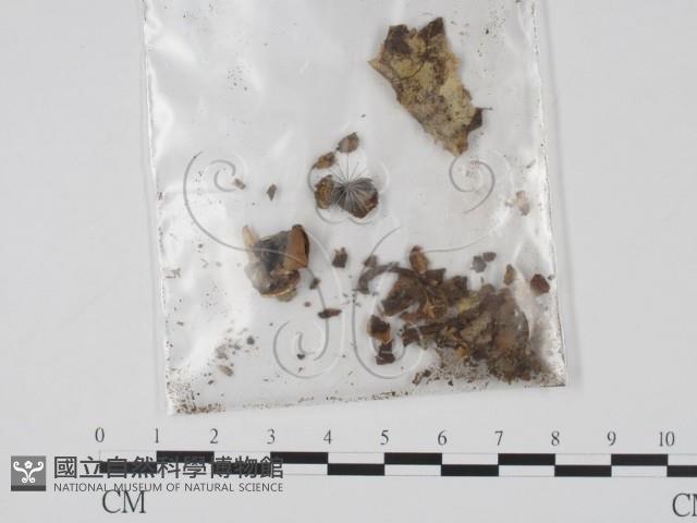 登錄號:F0000172藏品圖，第1張