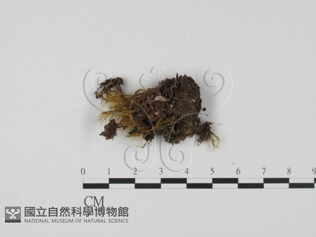 登錄號:F0001172藏品圖，第1張