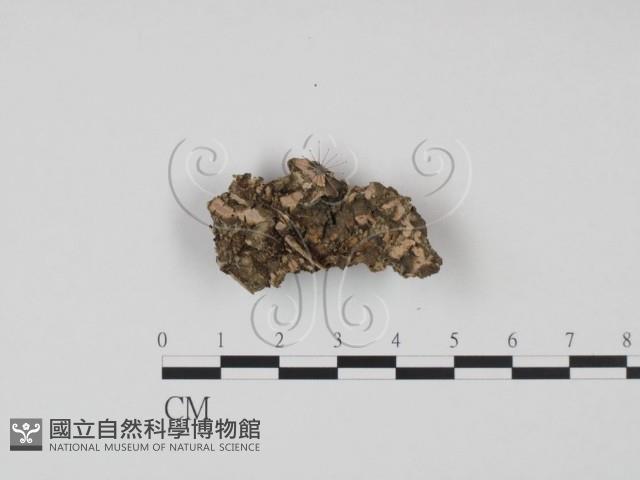 登錄號:F0007172藏品圖，第1張