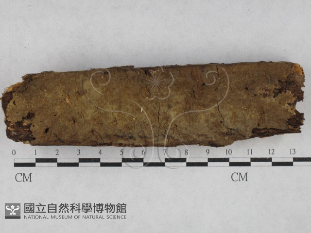登錄號:F0028072藏品圖，第1張