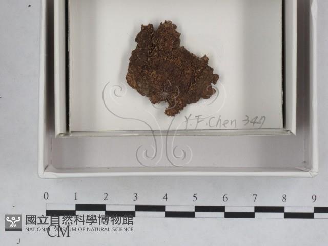 登錄號:F0018072藏品圖，第1張