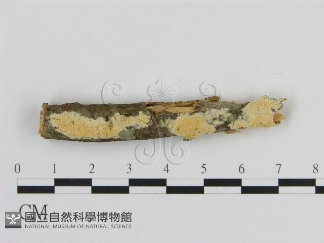 登錄號:F0001072藏品圖，第1張