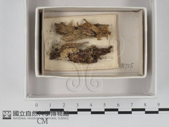 登錄號:F0018372藏品圖，第1張
