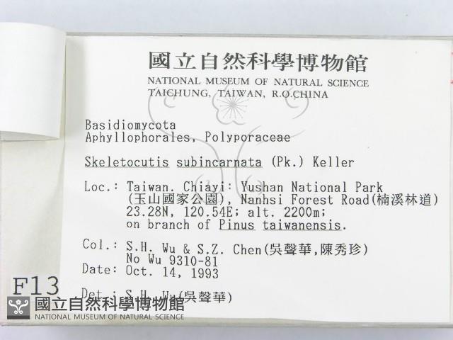 登錄號:F0001372藏品圖，第3張