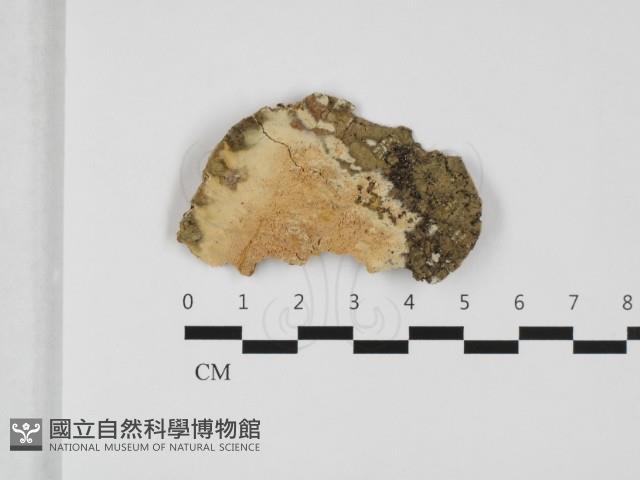 登錄號:F0032372藏品圖，第1張