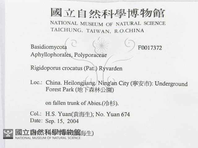登錄號:F0017372藏品圖，第3張