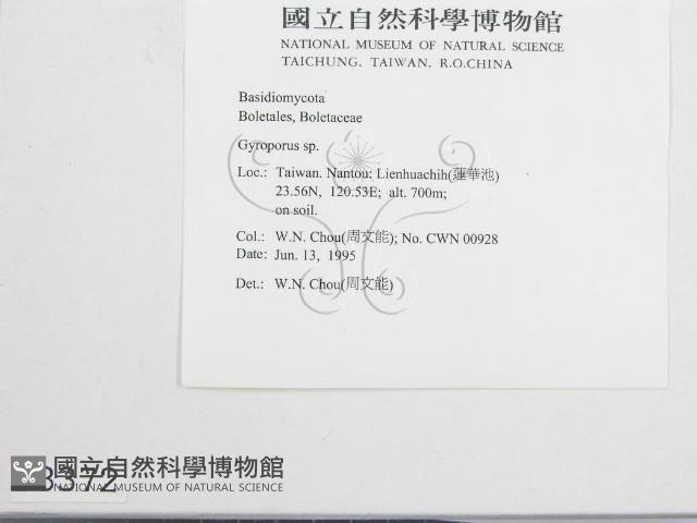 登錄號:F0003372藏品圖，第3張