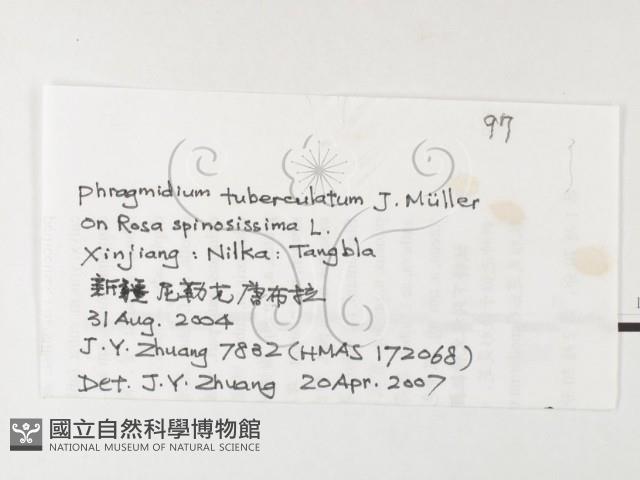 登錄號:F0026267藏品圖，第3張
