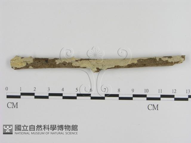 登錄號:F0001267藏品圖，第1張