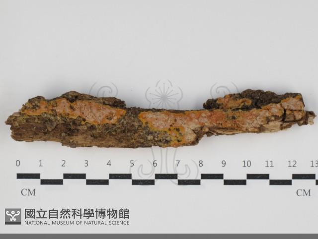 登錄號:F0034267藏品圖，第1張